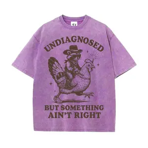 "Undiagnosed But Something Ain't Right" Raccoon T-Shirt | Funny Cowboy Raccoon Riding Chicken Graphic Tee, Vintage Washed Oversized Top, Unisex Streetwear