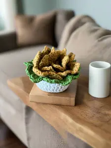 Crochet Coaster Set