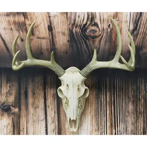Ebros Rustic Hunter Rack Deer Skull Antler Wall Plaque Decor 10 Point Buck Figurine