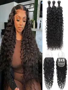Water Wave Human Hair Bundles with 12A 5x5 HD Lace Closure  Unprocessed Brazilian Burmese Curly Human Hair Bundles with Closure Natural Color
