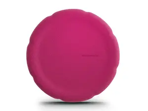 Classic Balance Board - Dragon Fruit