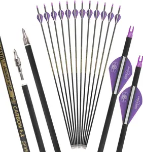 30" Pure Carbon Arrows Archery Practice Hunting Arrows Spine 300 350 400 500 600 with Removable Tips Targeting Arrows for Compound & Recurve & Long Bow 6/12Pcs