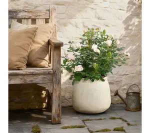 LuxenHome Sahara Stone Planter, 12" Round Cement