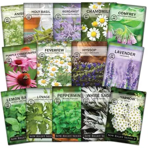 Large Medicinal Herb Collection herb seed
