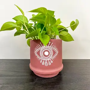 Third Eye Planter