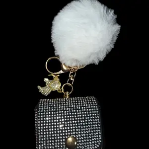 Diamond coin purse key chain