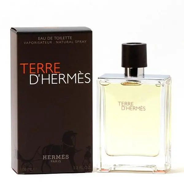 Hermes Terre D'Hermes Men - Eau De Toilette Spray 3.3 Oz.