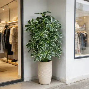 50-75cm Artifficial Maranta Plants Large Artificial Palm Tree Plastic Monstera Leaves Realistic Schefflera Trees Branch Tropical Plant Indoor Faux Plant For Home Office Wedding Decor
