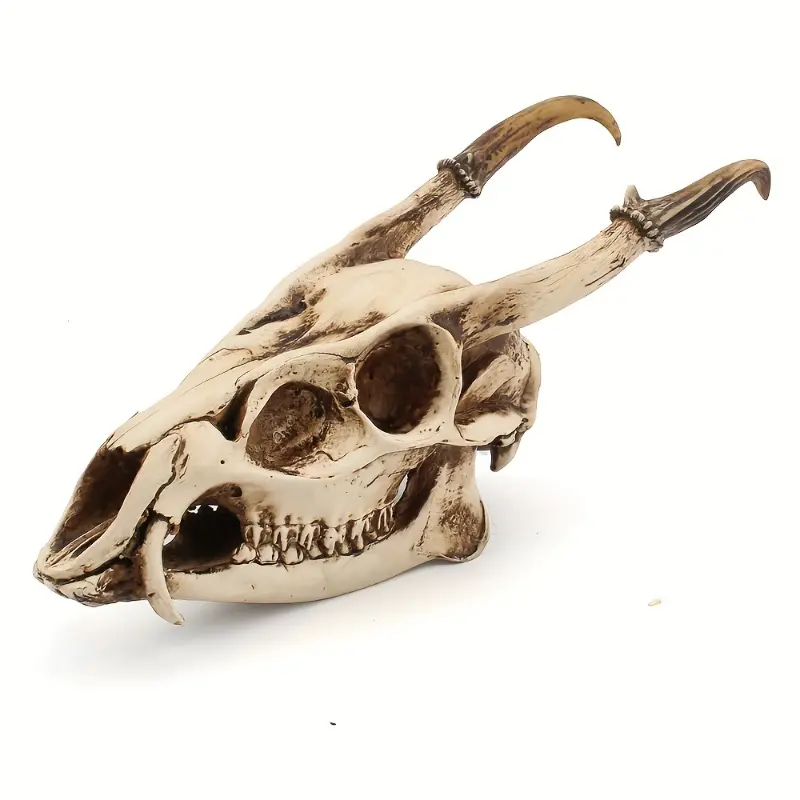 1pc Simulation Wild Goat Skull Desktop Decoration, Vampire Skull Decor Resin Skull, Statue Scary Skull Decor, Skeleton Goat Head Halloween Skull Decorations For Desktop, Halloween Decorations fake  flowers religious ornament home laundry room  Props 9.45*