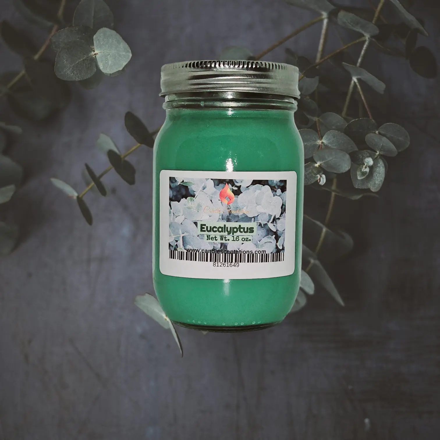 Eucalyptus 16 oz Candle - Scented Green Candle with Eucalyptus Extract for Decor & Freshener Use