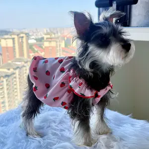 Pet Cat Dog Strawberry Clothes Spring Summer Strapless Dress Princess Style Thin Anti-Shedding Small Dogs Fashion