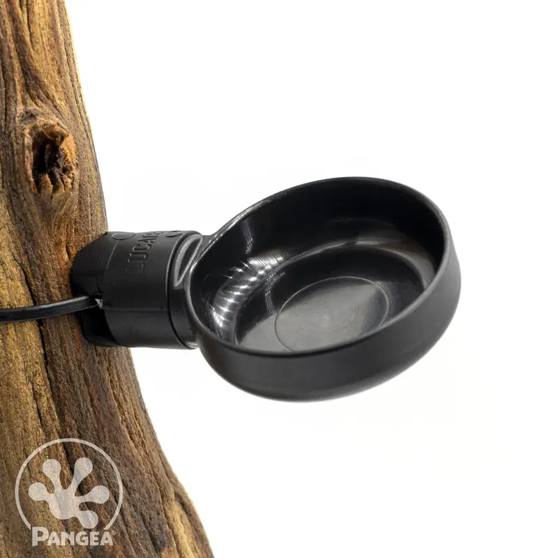 MicroDish Gecko Feeding System - Branch Mount - Large