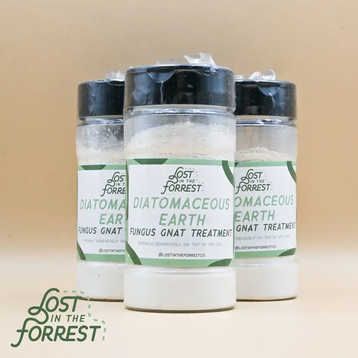 Diatomaceous Earth Fungus Gnat Treatment - Natural Chemical-Free Soil Dressing for Indoor Plant Care  Lost in the Forrest