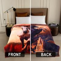 white horse/black horse