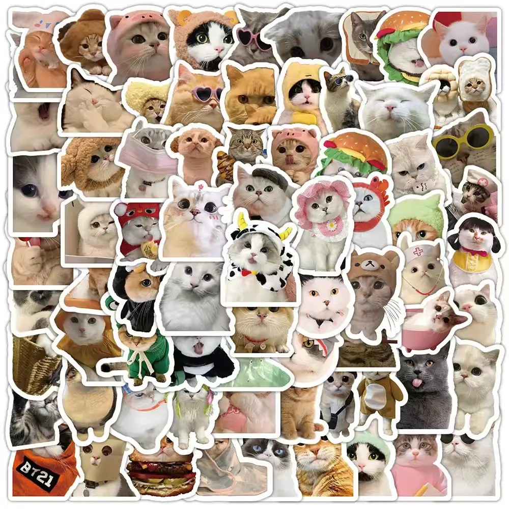 100Pcs Cute Cat Stickers, Funny Cat Meme Vinyl Stickers Decals for Adults Kids Teens, Waterproof Water Bottle Stickers Decals for Laptop Skateboard Scrapbook Phone Luggage Bicycle