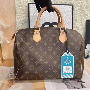 Pre-owned Louis Vuitton LouisVuitton hang bag