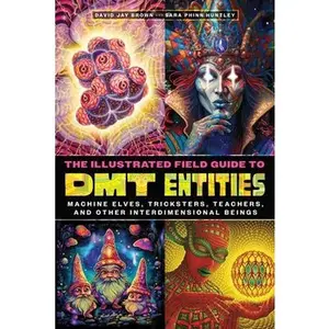 The Illustrated Field Guide to Dmt Entities: Machine Elves, Tricksters, Teachers, and Other Interdimensional Beings -- David Jay Brown, Paperback