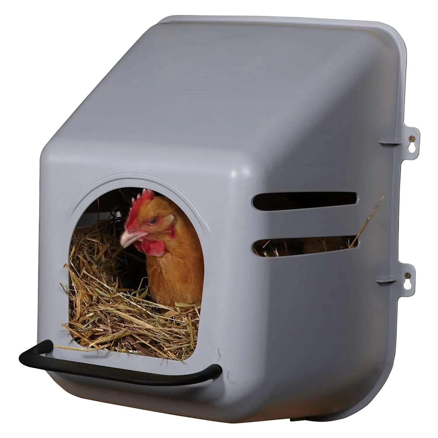 Little Giant Single Plastic Mountable Chicken Nesting Box with Ventilation Holes Little Giant Single Plastic Mountable Chicken Nesting Box with Ventilation Holes