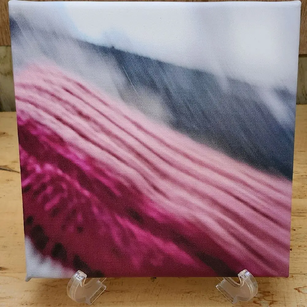 8x8 Canvas Print - Vibrant Pink and Gray Abstract Art for Home Decor