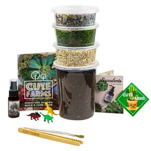 Cute Farms Large Terrarium Kit - DIY Succulent Kit for Home and Garden