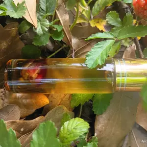 Honey of Love Oil  Potion Sweet Attraction for Self-Love and Romantic Energy Enhancer