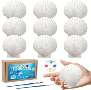 10 count  Shells, Seashells for Crafts, 4''-5'' White Sea Shells for Crafting Decorating Painting, Large Seashells to  DIY Craft Beach Wedding Party Decorations