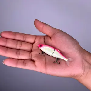 Bfs Glide Bait Bfs Glide Bait