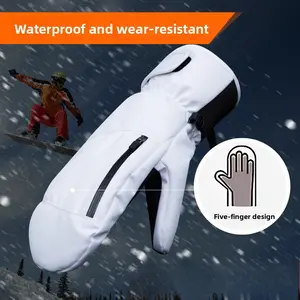 Outdoor Cycling & Snowboard Gloves Winter Thermal Waterproof Windproof Snow Resistant Durable Professional Fabric 5-Finger Design for Harsh Weather