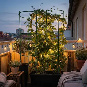 Height Adjustable Plastic Plant Support Frame, Durable Garden Flower Stand, Ideal for Indoor & Outdoor Use, Enhances Plant Growth