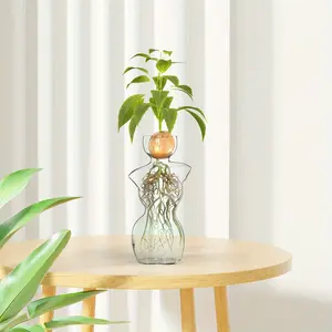 Elegant Female Silhouette Glass Vase, Ideal for Plant Propagation, Perfect for Avocado Cuttings, Stunning Home Decor Flower Vase, Decorative Vase