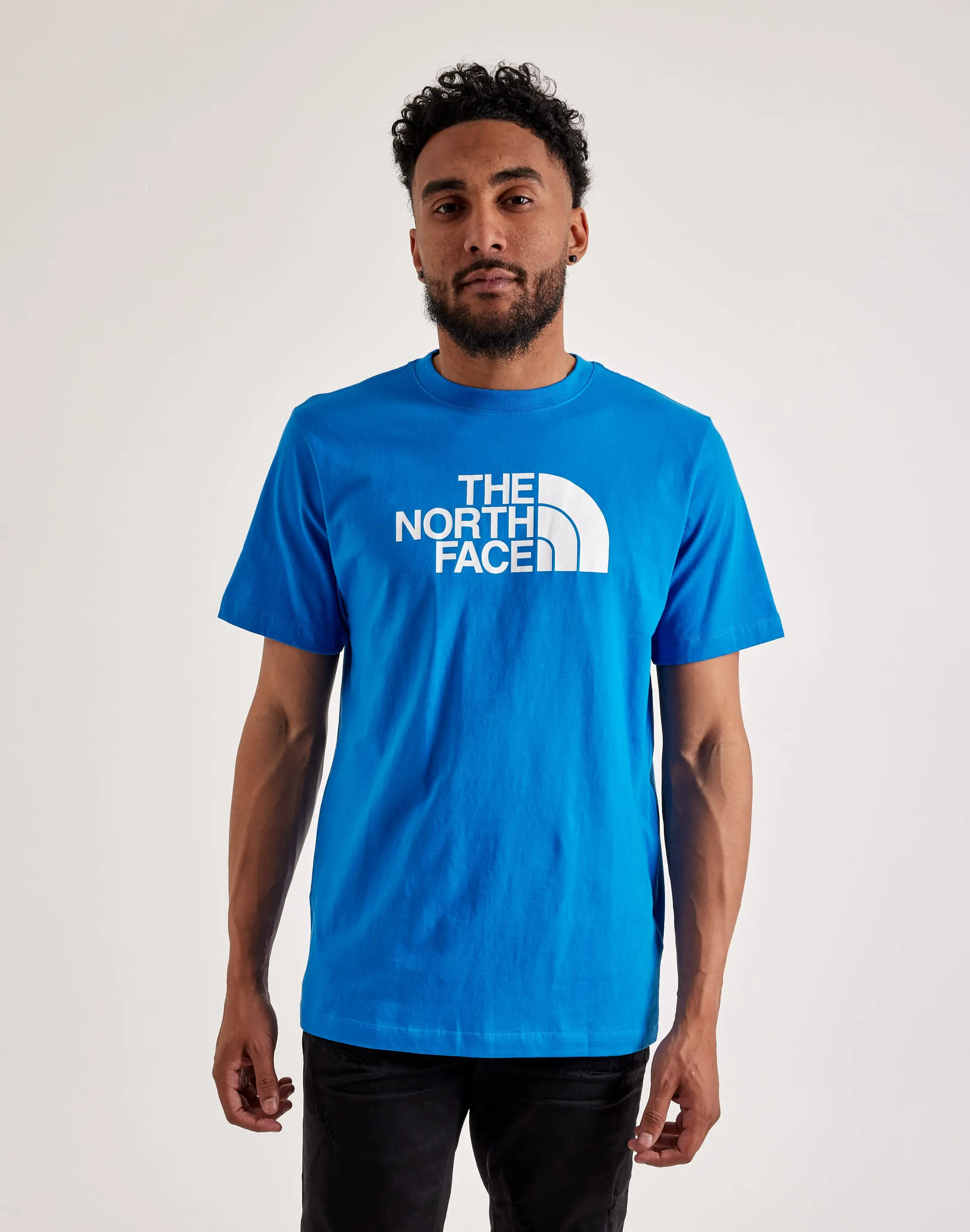 Mens The North Face Half Dome Tee