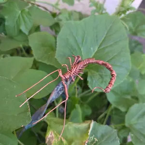 Copper Scorpion hand made with  copper wire