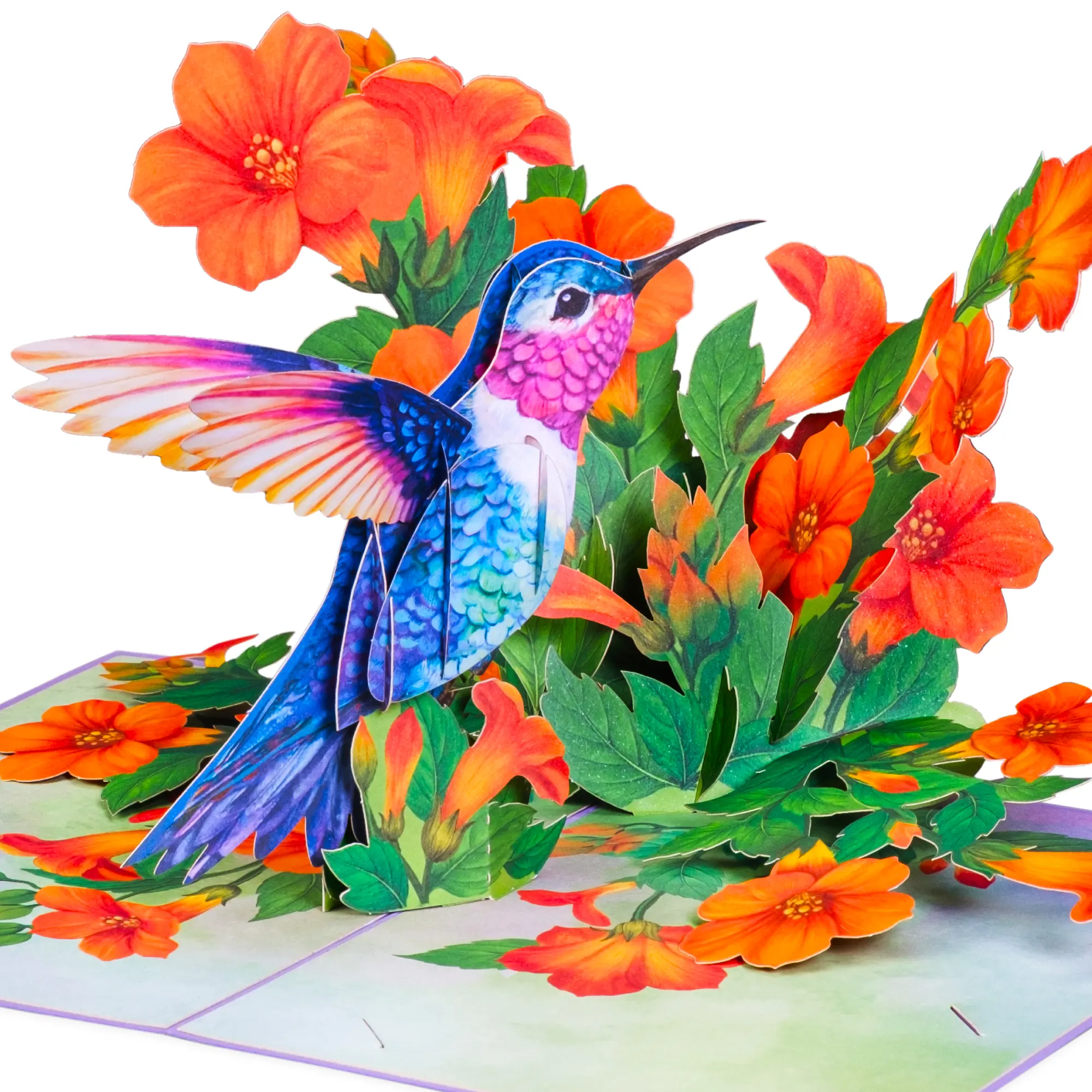 Paper Love Hummingbird Pop Up Card,  3D Floral Bird Mother's Day cards Card, Gift for Mom, Grandma, Wife, Birthday Thank You Get Well 5" x 7"