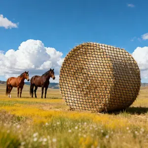 Round Bale Hay Net, 4.92 X 4.92 X 4.92 Ft, 1.65 Inch Holes, PE Material, Knotless Design, Self-Locking Zip Ties, Needle Shuttle, Repair Twine, Slow Feeder Round Bale Net For Horses