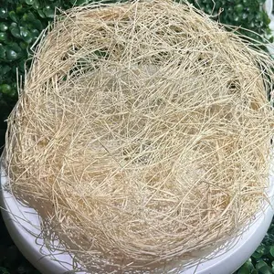 Traditional African sponge