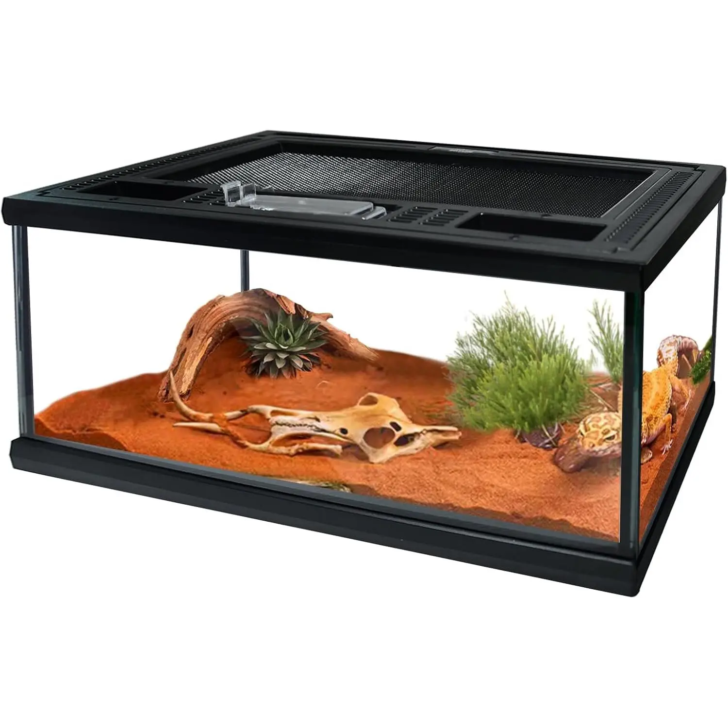 Reptile Terrarium Glass Tank, 12*8*6in Small Habitat Enclosure with 360° Panoramic View, Top Screen Ventilation, Feeding Hole Design & Easy to Clean for Reptiles, Amphibians