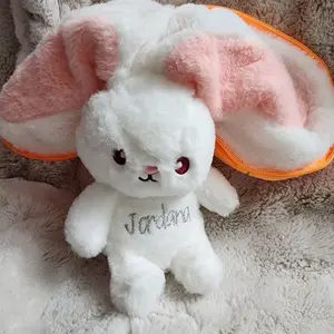 Easter bunny ; personalized ; carrot/ strawberry