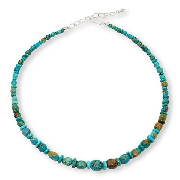 Mine Finds by Jay King Armenian Turquoise Bead 18" Necklace