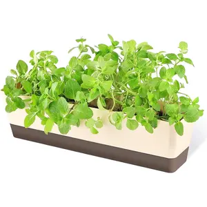 Window Boxes, 1 Pack 16 x3.8 Inch Indoor Rectangle Planter,  Succulent Cactus Window Box with , Modern Plastic  Pot for Windowsill, Garden Balcony,  Office Outdoor Decor