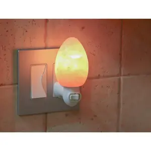 Egg Shape Himalayan Salt Night Light