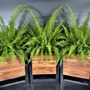 Modern Planter Boxes - Wooden Design for Plants, Ideal for Home Decor, Enhance Your Space with Greenery