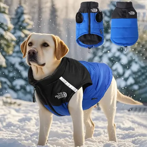 Warm Winter Dog hoodies Jacket - Cozy, Stylish, Lightweight Polyester for All Seasons, Available in Multiple Colors and Sizes Puppy