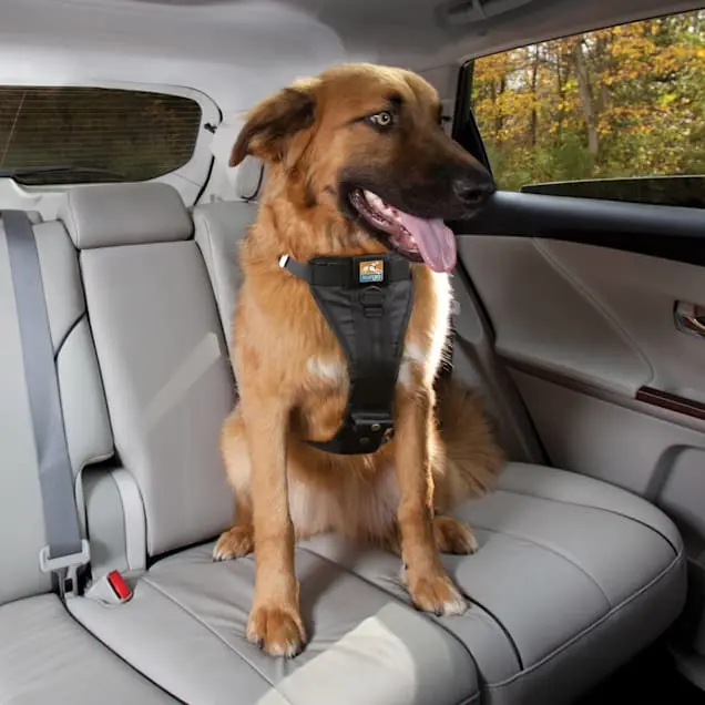 Enhanced Strength Tru Fit Smart Harness