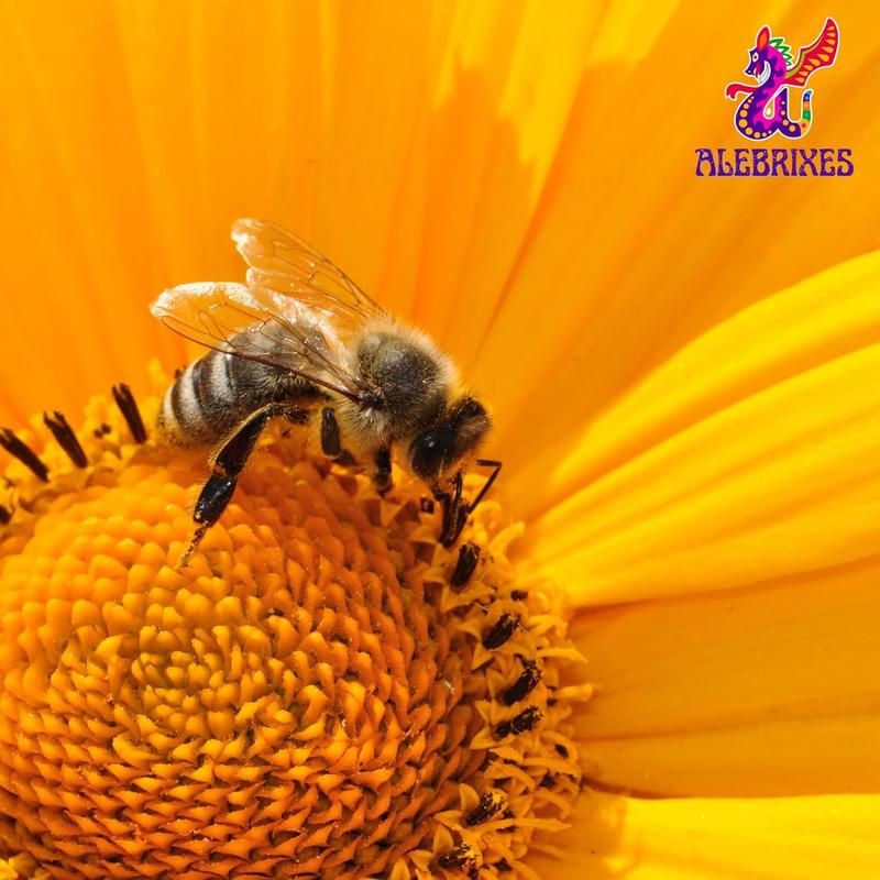 | Pure Bee Pollen 8oz (227 g)| 100% Bee Pollen Granules | Polen de Abeja 100% Natural | All Natural