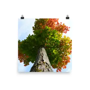 All the Fall Colors Posters