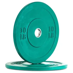 10 LB colored bumper plate (pair)