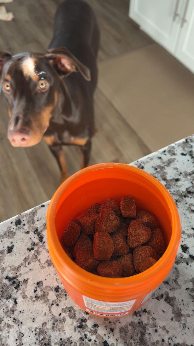 Item: 90 Chews, Salmon