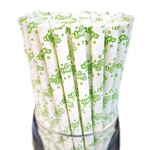 Cactus Print Paper Straws