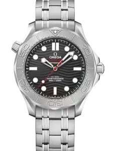 Omega Seamaster 300 Series Nekton Collaboration, Black and Gray Dial, Titanium Bezel, 42mm Case Diameter