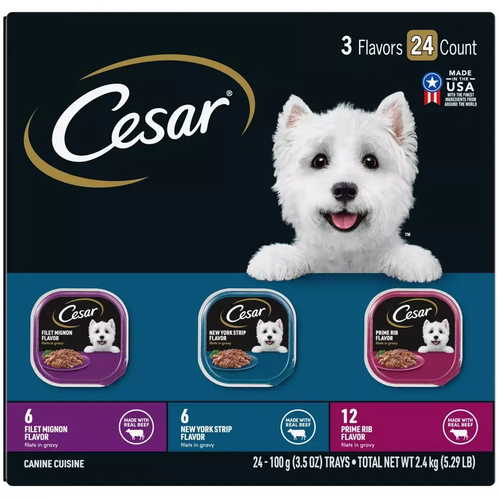 best canned dog food at walmart - TikTok Shop